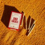 Newbury Street Dispensary Guide (2026) Shopping Boston's Most Stylish Cannabis Mile