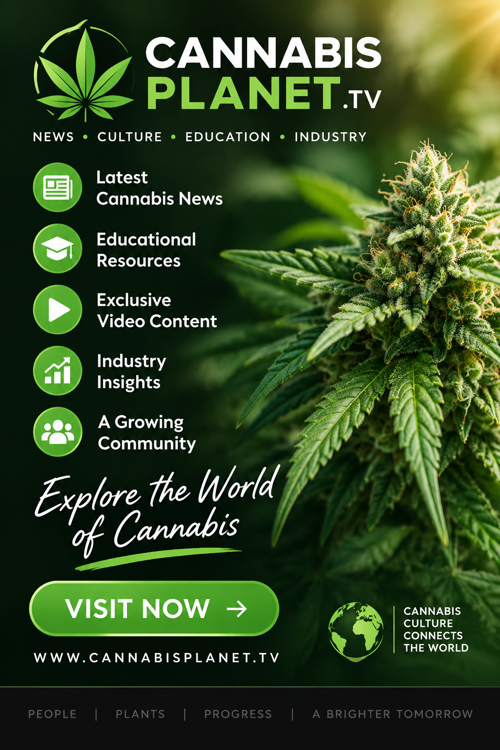 Cannabis news and media resource